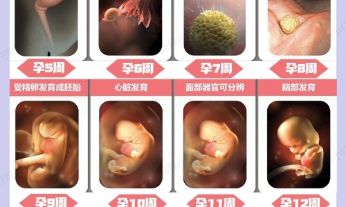 扫帚苗籽和艾叶洗澡-扫帚子与艾草的功效网扫帚草的作用知识网站,分享扫帚苗籽和艾叶洗澡大全